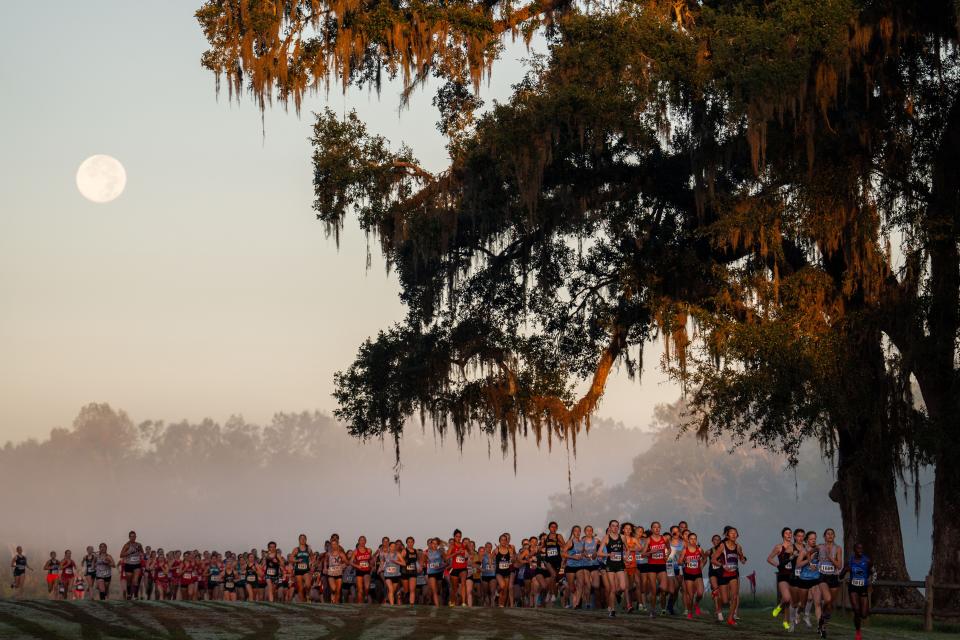 Florida high school cross country runners compete in the state championships at Apalachee Regional Park in Tallahassee, Fla.