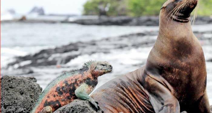 Ecuador’s debt for nature swap: Innovative bond restructuring – lessons for Sri Lanka