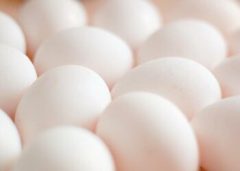 How America lost control of the Bird Flu – Lake County Record-Bee