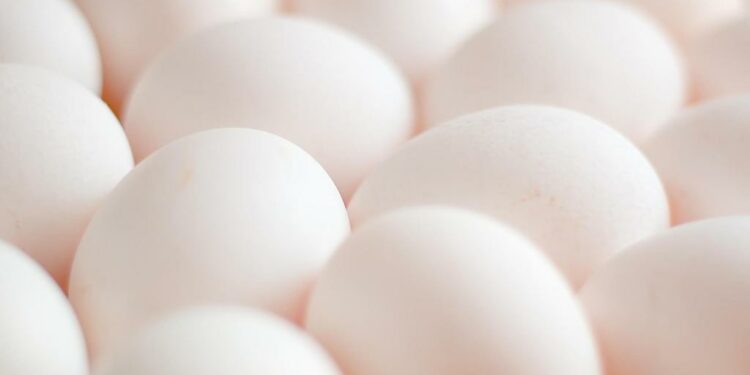 How America lost control of the Bird Flu – Lake County Record-Bee