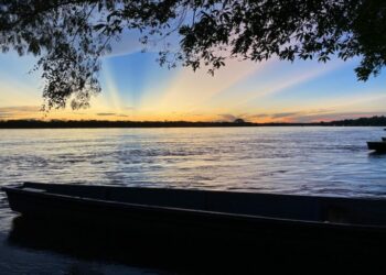 The particularities of the migratory movement in Venezuela, the Guianas and Suriname