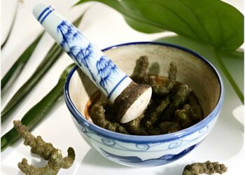 Government Aims to Position Ayurveda as a Global Healthcare Solution