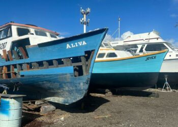 Barbados fishing industry still reeling from hurricane aftermath