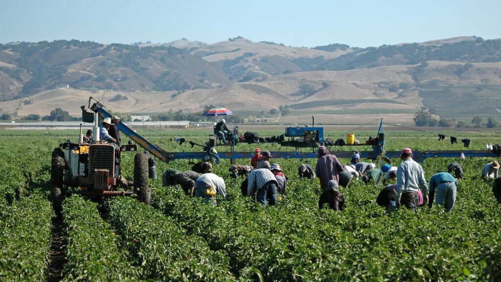 California farmworkers mass deportation Trump economic impact