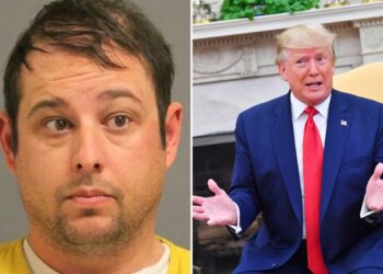 "This is Trump's America now!"