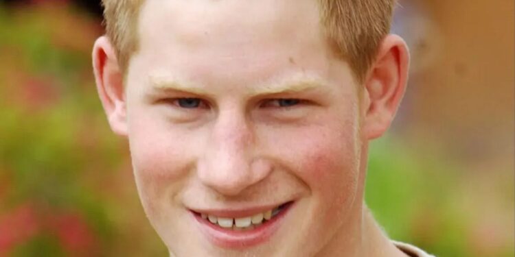 Police failed to assess kidnap risks of Prince Harry’s gap year trip to South America