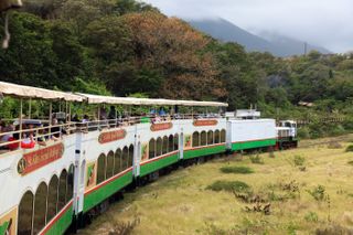 The St. Kitts Scenic Railway glides by trees