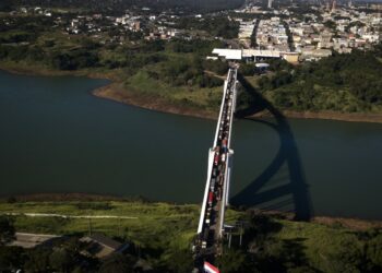 26 people arrested in crackdown on illegal deforestation along Paraguay, Brazil and Argentina border