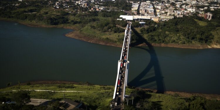 26 people arrested in crackdown on illegal deforestation along Paraguay, Brazil and Argentina border
