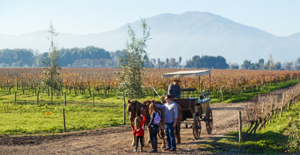 A people preparing to ride in a horse-drawn covered wagon through a vineyard during harvest season at Vendimia de Curicó, Chile.