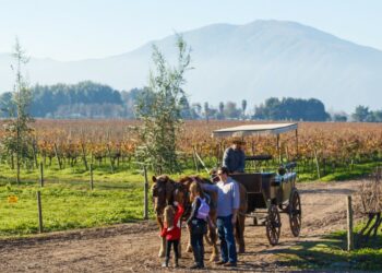 A people preparing to ride in a horse-drawn covered wagon through a vineyard during harvest season at Vendimia de Curicó, Chile.