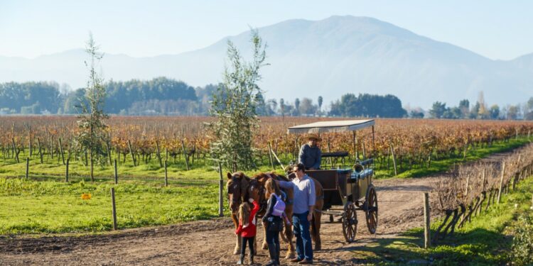 A people preparing to ride in a horse-drawn covered wagon through a vineyard during harvest season at Vendimia de Curicó, Chile.
