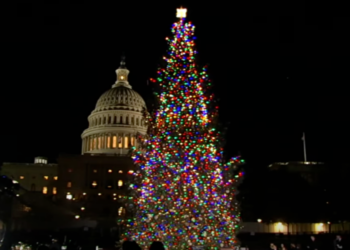Alaska’s “Spruce Wayne” lights up Capitol for Christmas season