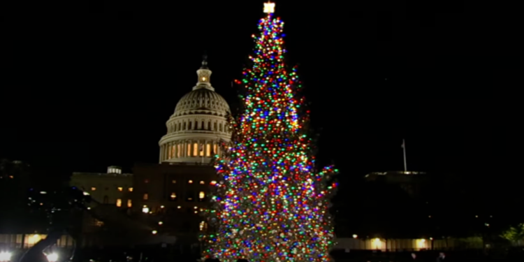 Alaska’s “Spruce Wayne” lights up Capitol for Christmas season