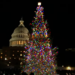 Alaska’s “Spruce Wayne” lights up Capitol for Christmas season