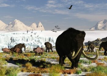 Ancient 'land bridge' that connected Siberia to US wasn't what it seems, scientists find