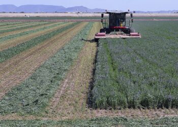 Arizona AG sues Saudi firm over ‘excessive’ groundwater pumping, saying it’s a public nuisance