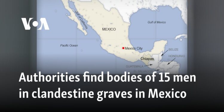 Authorities find bodies of 15 men in clandestine graves in Mexico