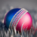 Bermuda Defeat Panama By Nine Wickets