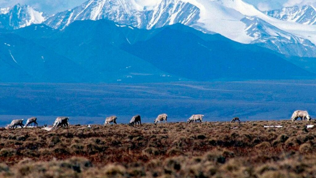 Biden approves oil lease sale, allowing drilling in Alaska’s Arctic refuge