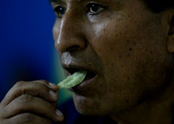 Bolivia's former leader Evo Morales seeks a political comeback from his stronghold in the tropics