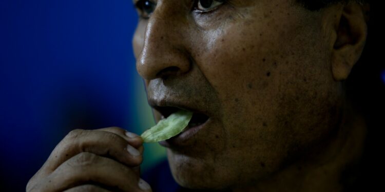 Bolivia's former leader Evo Morales seeks a political comeback from his stronghold in the tropics