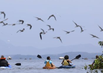 Brazil expects record‑breaking summer for international tourism