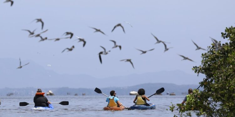 Brazil expects record‑breaking summer for international tourism