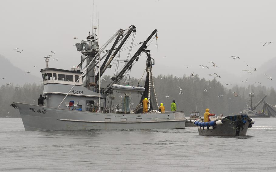 Fishermen stand on a fishing vessel in the water, with gulls flying overhead and coniferous trees in the background.