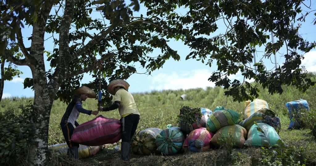 Colombia’s Cocaine Moment of Truth