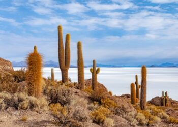 Cosmos bound for Bolivia