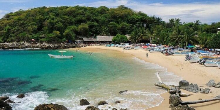 Cruise lines bypassing 'murder capital' as severe travel alerts issued | Travel News | Travel