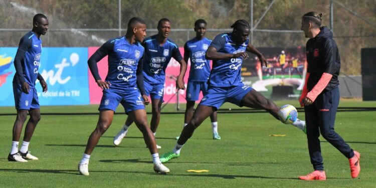 De Sánchez Bas a Beccacece, una transición necesaria en la Selección de Ecuador