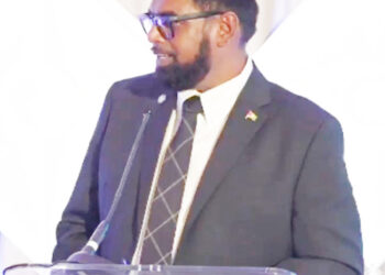 Economic model must be established to value biodiversity, standing forests