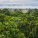 Ecuador turns focus to Amazon with fresh debt-for-nature swap