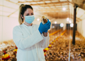 Excellence in poultry education at Zamorano in Honduras