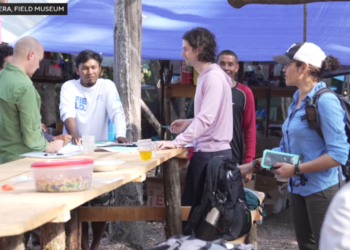 Field Museum scientists learn about biodiversity, conservation in Amazon Basin