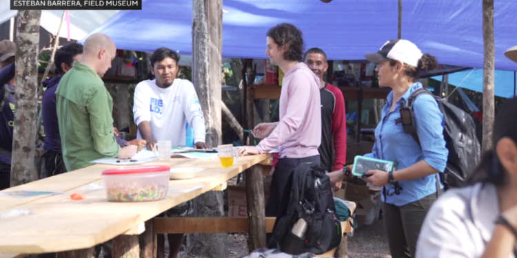 Field Museum scientists learn about biodiversity, conservation in Amazon Basin