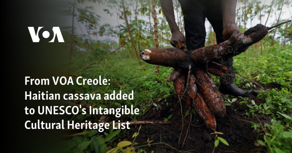 Haitian cassava added to UNESCO's Intangible Cultural Heritage List 