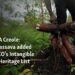 Haitian cassava added to UNESCO's Intangible Cultural Heritage ListÂ