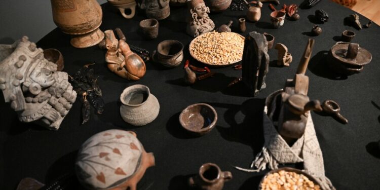 Artifacts that represent a