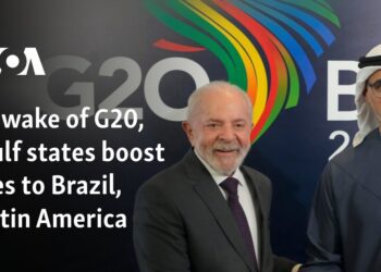 In wake of G20, Gulf states boost ties to Brazil, Latin America