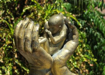 Inter-American Court finds El Salvador liable for obstetric violence in high-risk pregnancy case - JURIST