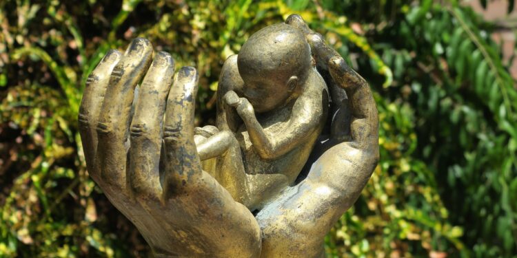 Inter-American Court finds El Salvador liable for obstetric violence in high-risk pregnancy case - JURIST