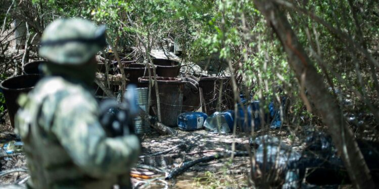 Invading Mexico Will Not Solve the Cartel Problem