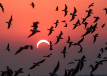 It’s 100 Days Until North America’s Next Solar Eclipse — What To Know