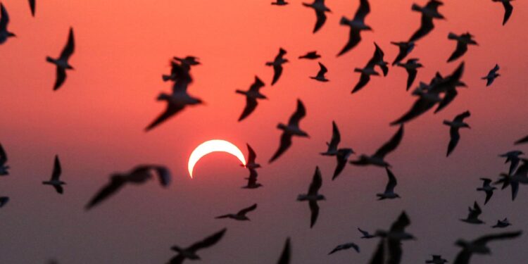 It’s 100 Days Until North America’s Next Solar Eclipse — What To Know