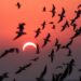 It’s 100 Days Until North America’s Next Solar Eclipse — What To Know