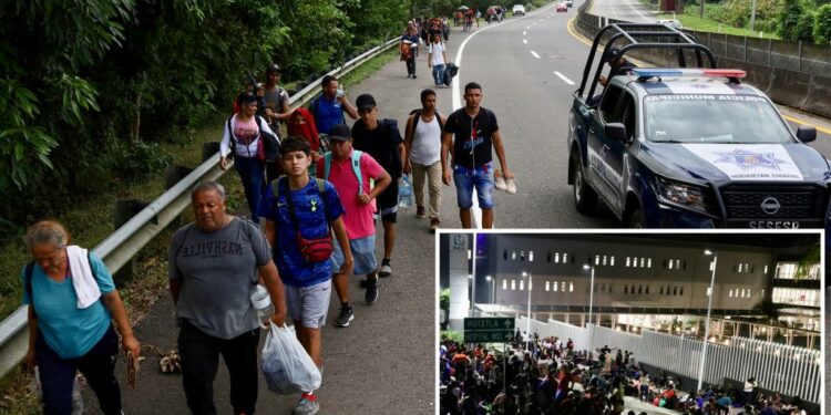 Migrant caravan departs southern Mexico in bid to reach US border prior to Trump presidency