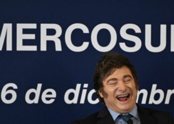 Argentina's President Javier Milei laughs during the LXV Mercosur Summit in Montevideo on December 6, 2024.